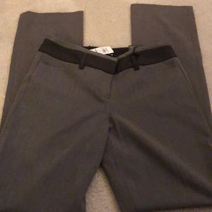 Express Editor - Studio Stretch